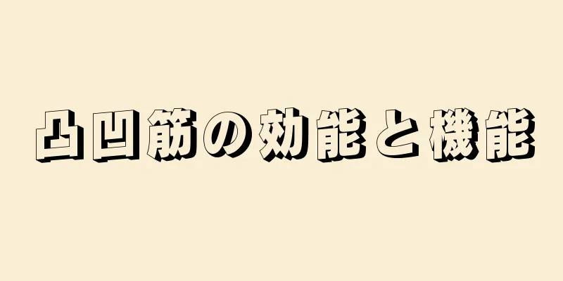 凸凹筋の効能と機能