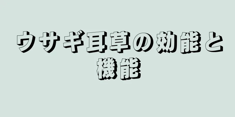 ウサギ耳草の効能と機能