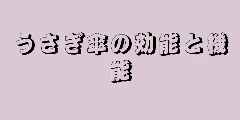 うさぎ傘の効能と機能