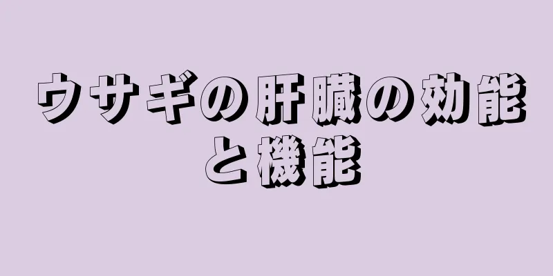 ウサギの肝臓の効能と機能