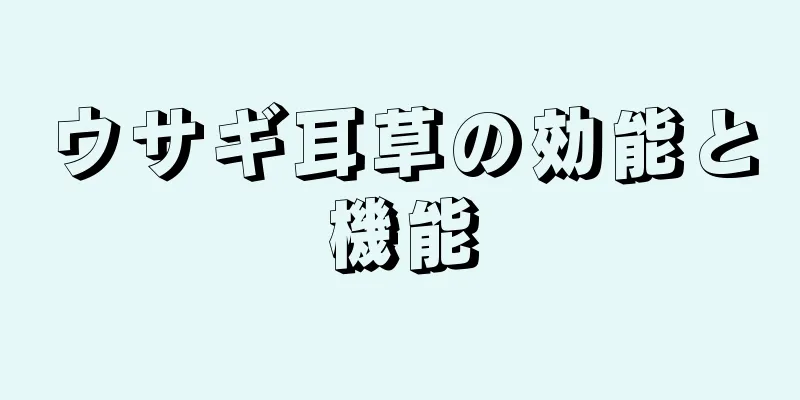 ウサギ耳草の効能と機能