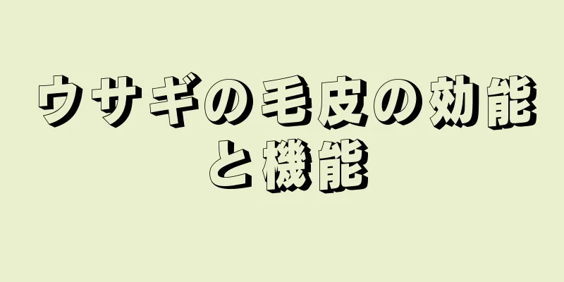 ウサギの毛皮の効能と機能