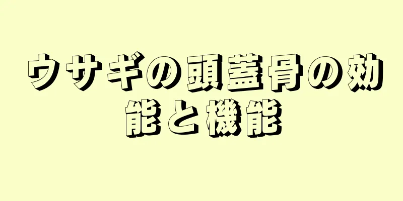ウサギの頭蓋骨の効能と機能