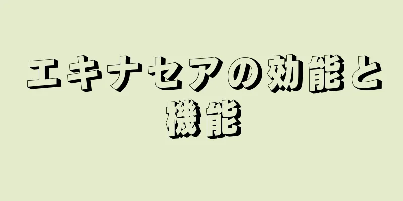 エキナセアの効能と機能