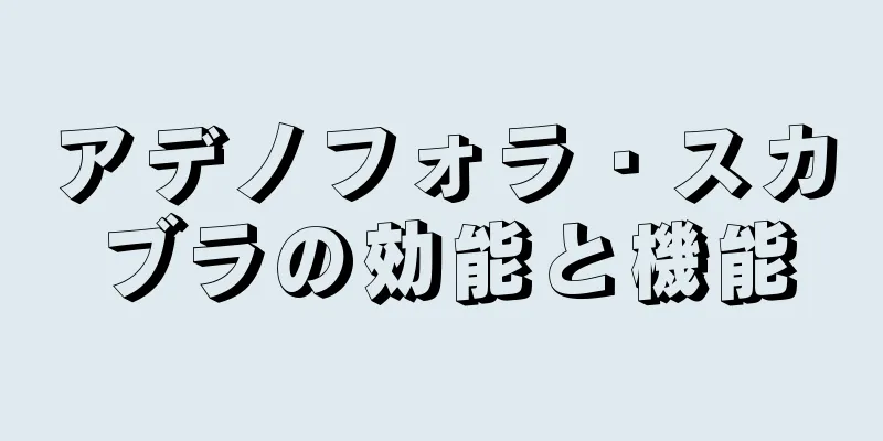 アデノフォラ・スカブラの効能と機能