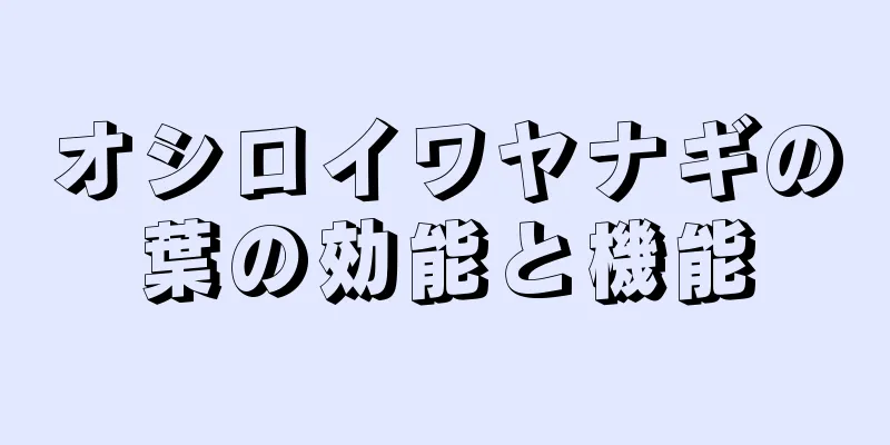 オシロイワヤナギの葉の効能と機能
