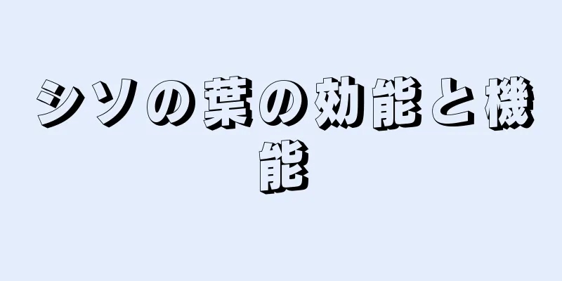 シソの葉の効能と機能