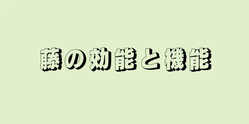 藤の効能と機能