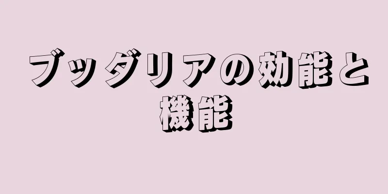 ブッダリアの効能と機能