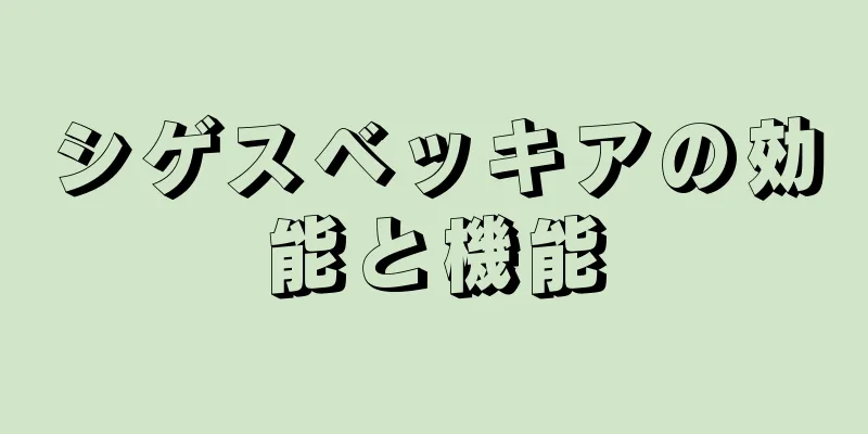 シゲスベッキアの効能と機能