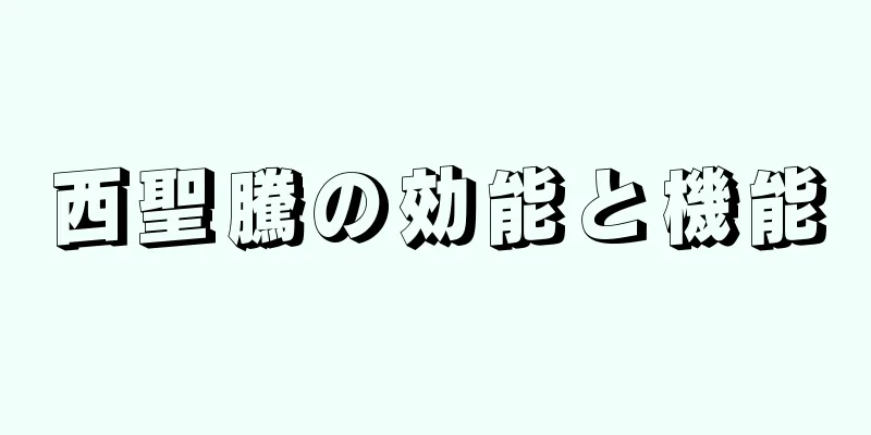 西聖騰の効能と機能