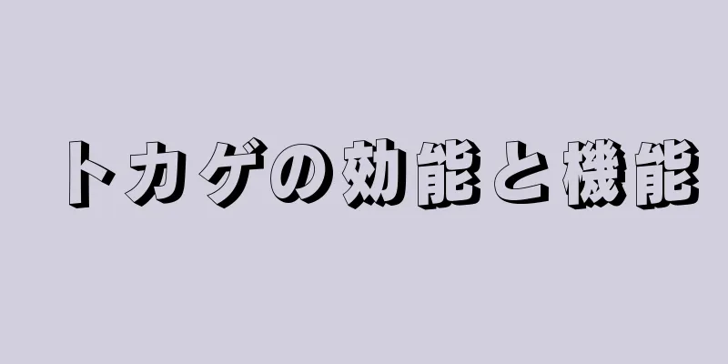 トカゲの効能と機能