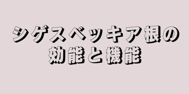 シゲスベッキア根の効能と機能