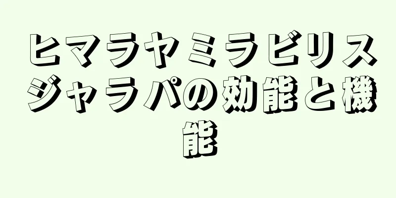 ヒマラヤミラビリスジャラパの効能と機能