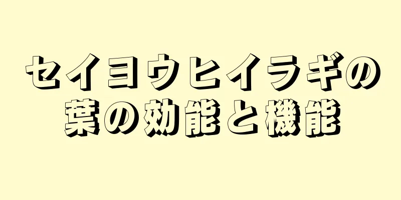 セイヨウヒイラギの葉の効能と機能