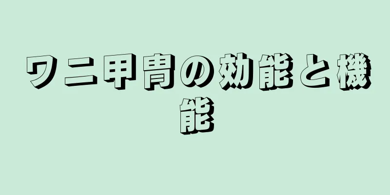 ワニ甲冑の効能と機能