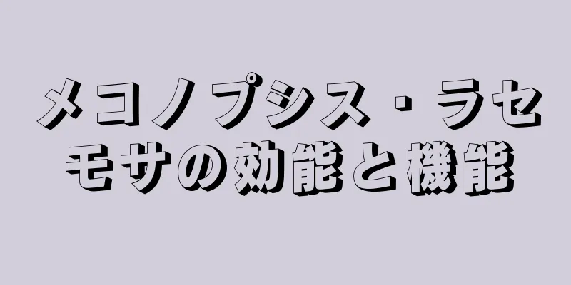 メコノプシス・ラセモサの効能と機能