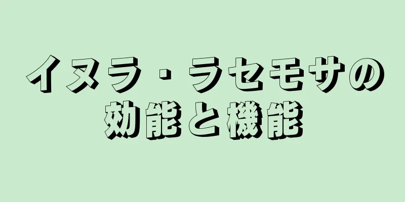 イヌラ・ラセモサの効能と機能