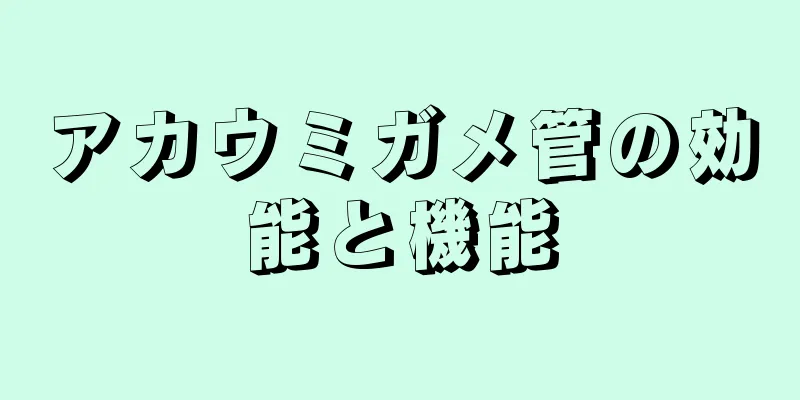 アカウミガメ管の効能と機能