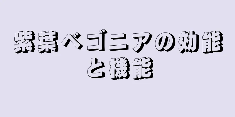紫葉ベゴニアの効能と機能
