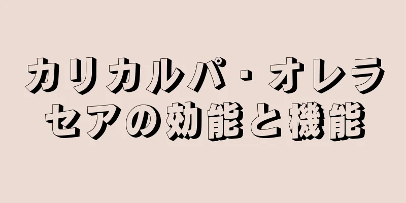 カリカルパ・オレラセアの効能と機能