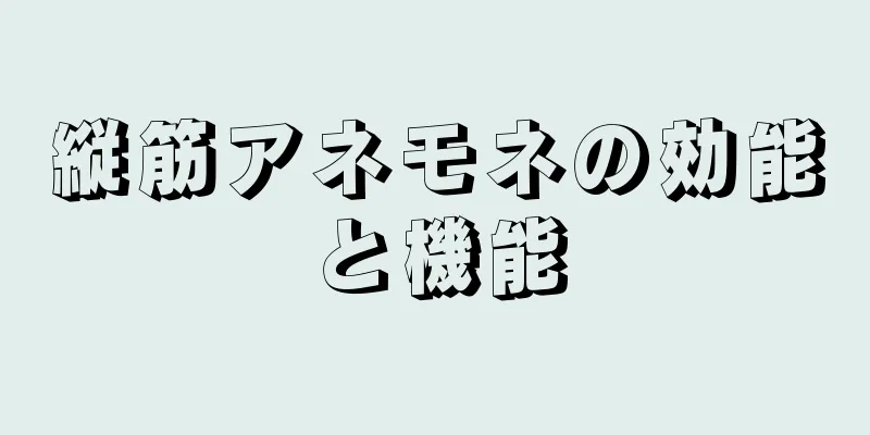 縦筋アネモネの効能と機能