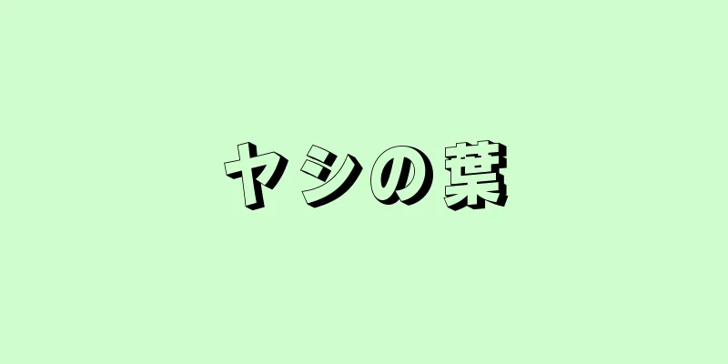 ヤシの葉