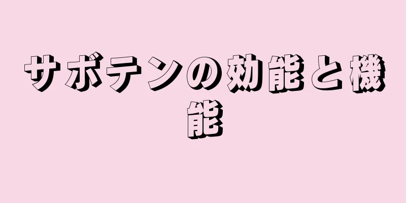 サボテンの効能と機能