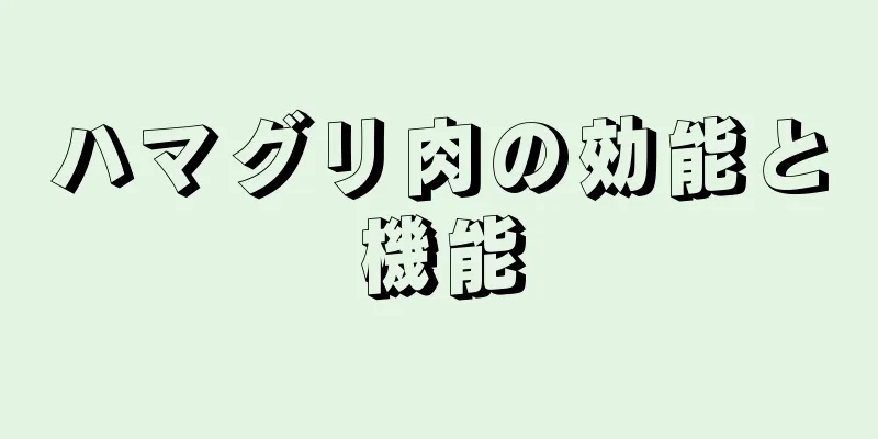 ハマグリ肉の効能と機能
