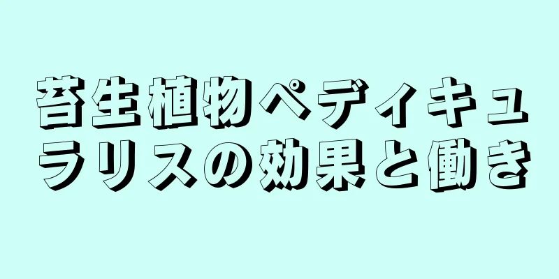 苔生植物ペディキュラリスの効果と働き