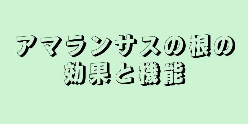 アマランサスの根の効果と機能