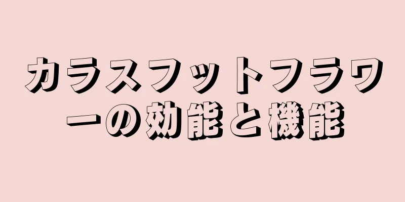 カラスフットフラワーの効能と機能