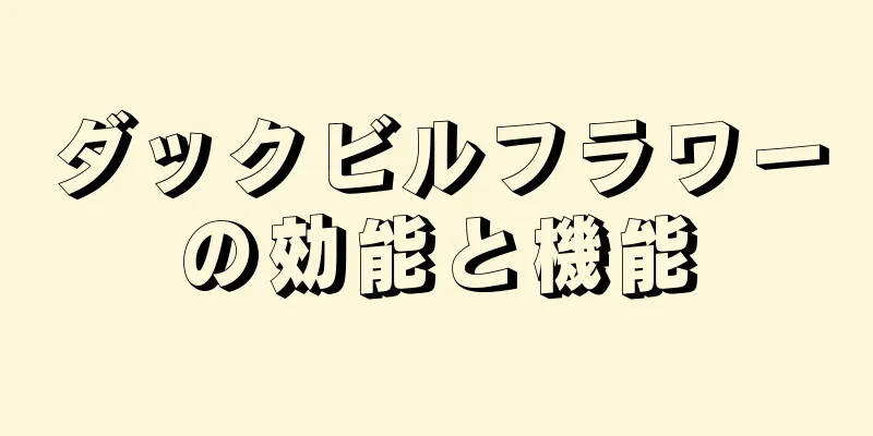 ダックビルフラワーの効能と機能