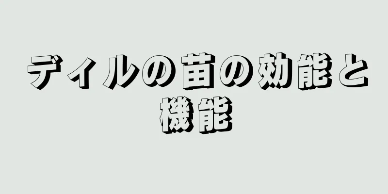 ディルの苗の効能と機能