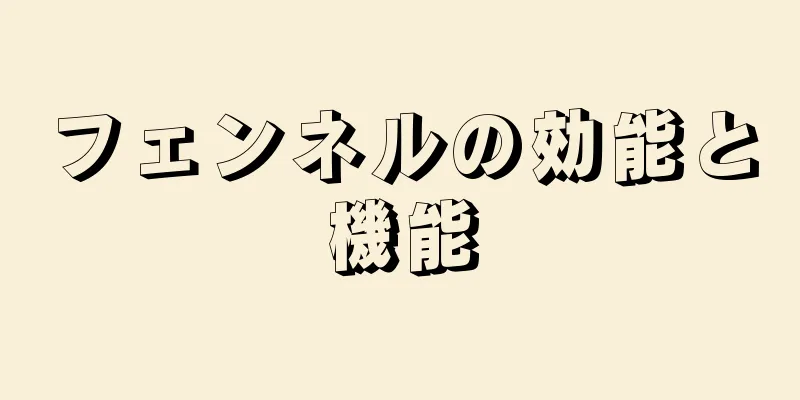 フェンネルの効能と機能