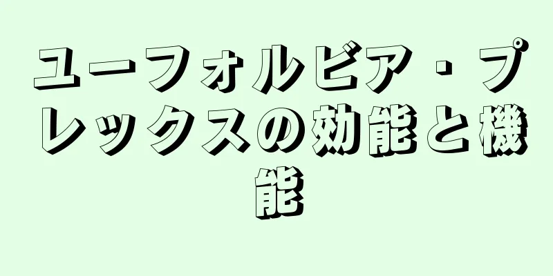 ユーフォルビア・プレックスの効能と機能