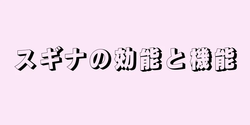 スギナの効能と機能