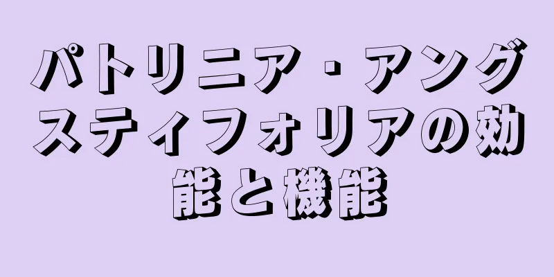 パトリニア・アングスティフォリアの効能と機能