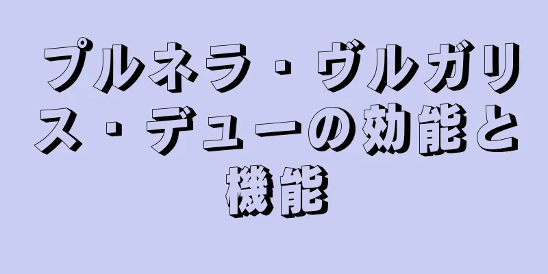 プルネラ・ヴルガリス・デューの効能と機能