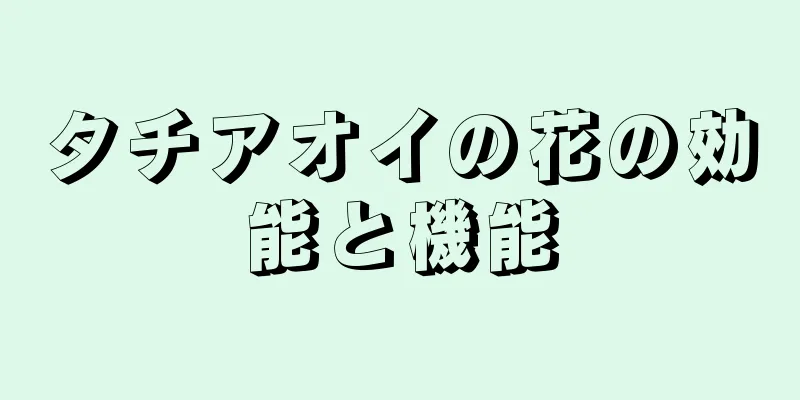 タチアオイの花の効能と機能