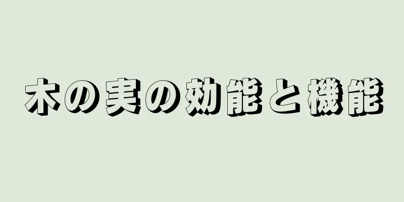 木の実の効能と機能