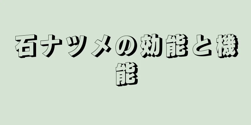 石ナツメの効能と機能