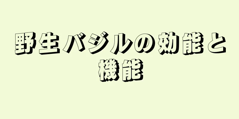 野生バジルの効能と機能