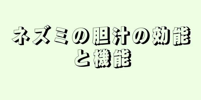 ネズミの胆汁の効能と機能