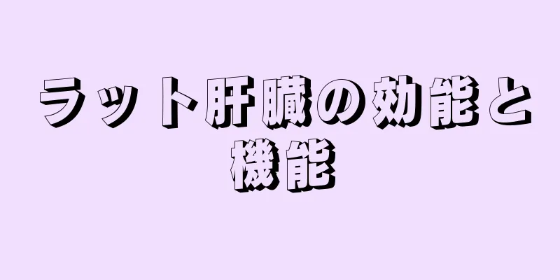 ラット肝臓の効能と機能