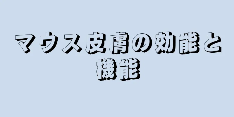マウス皮膚の効能と機能