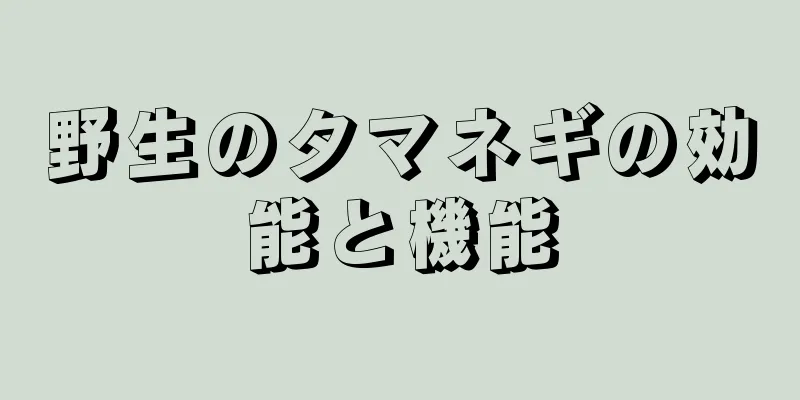 野生のタマネギの効能と機能