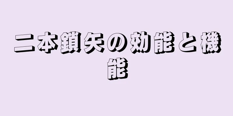 二本鎖矢の効能と機能