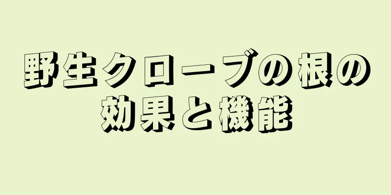 野生クローブの根の効果と機能