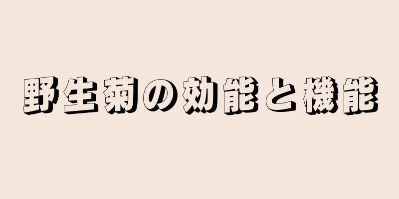 野生菊の効能と機能